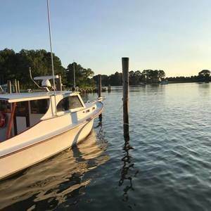 Meet your Posher, Donna